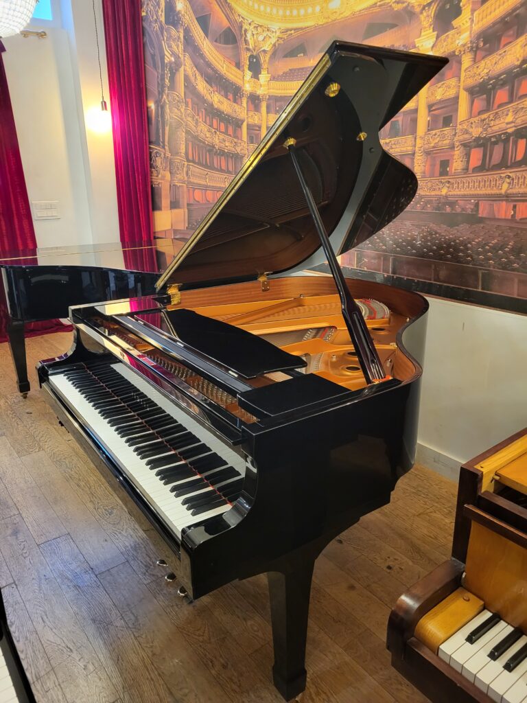 YAMAHA - C1 Silent SG2