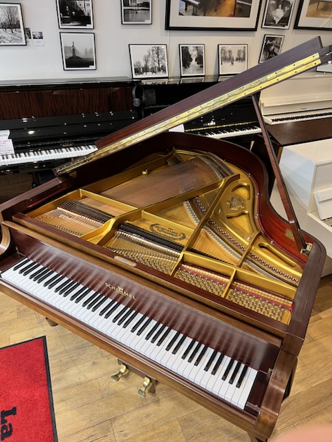 SCHIMMEL - 174