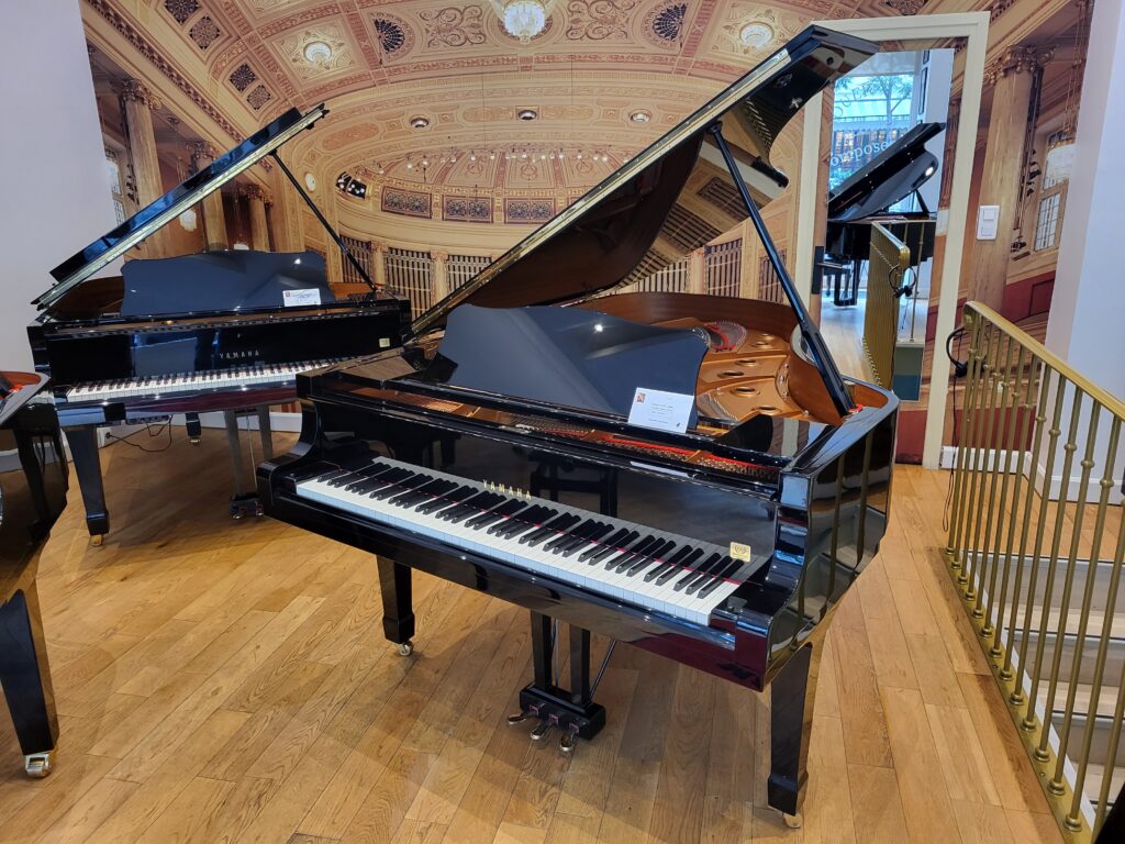 Yamaha  - C6