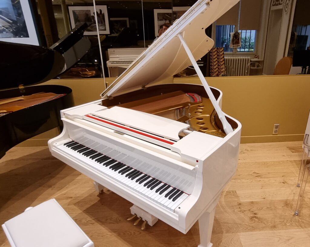 STEINWAY & SONS - M 170