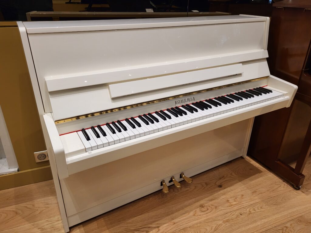 BOHEMIA 111A