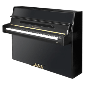 Johannes Seiler 110 Modern AD-Silent-1