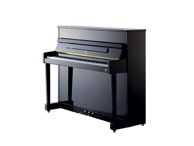 Pianos droits acoustiques Johannes Seiler 116 Ritmo Noir