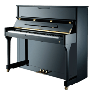 Johannes Seiler 118 Tradition