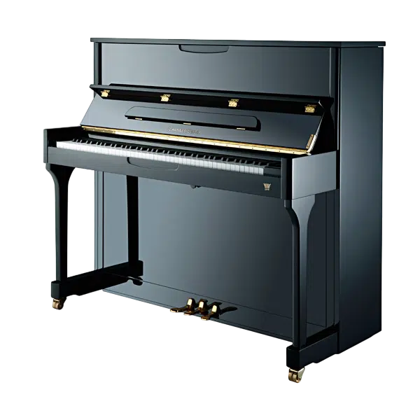 Pianos droits acoustiques Johannes Seiler 118 Tradition Noir