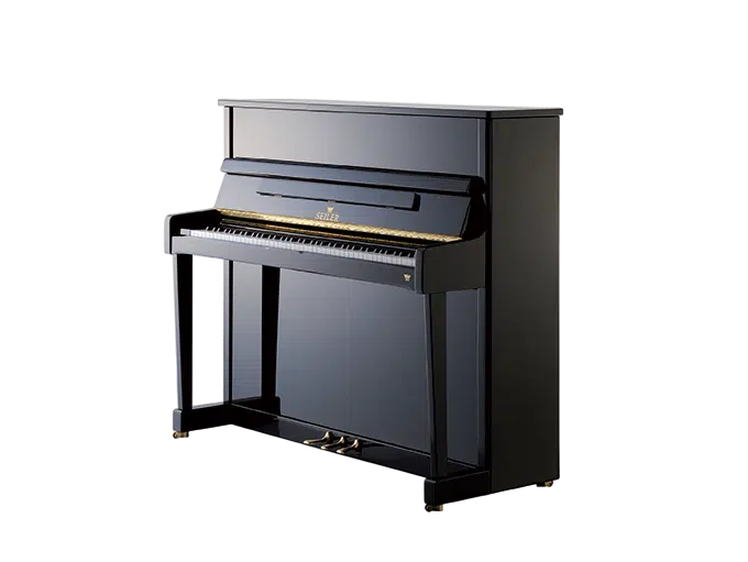 Pianos droits acoustiques Johannes Seiler 122 Ritmo Noir