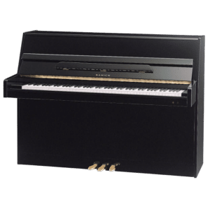 Samick JS A43D