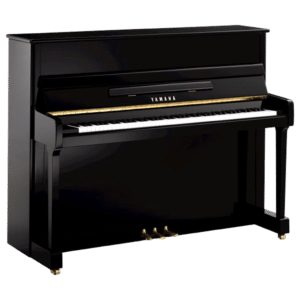 Yamaha P 116 M
