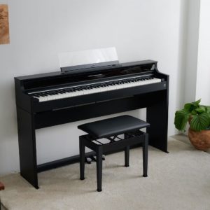Casio - AP S450B