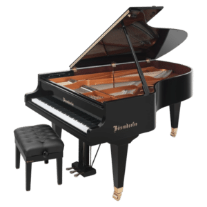 Bösendorfer - 214 VC Disklavier Enspire-1