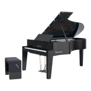 Bösendorfer - 214 VC Edge-1