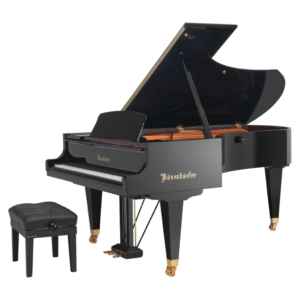 Bösendorfer - 225-1
