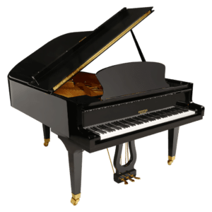 Pleyel P 190-1