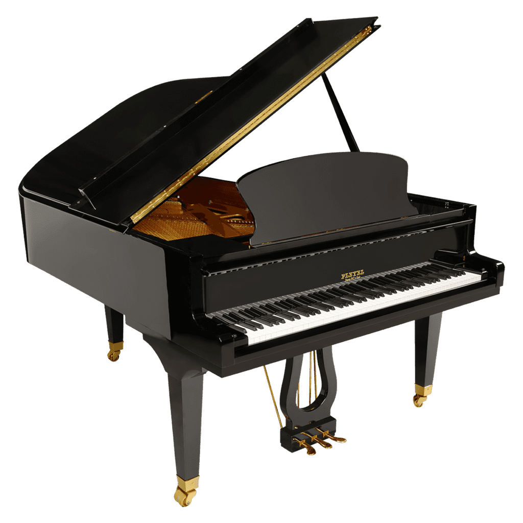 Pleyel P 190-1