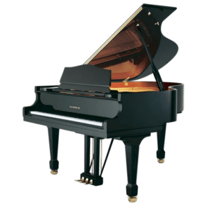 Samick SIG 61