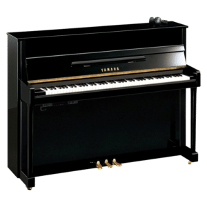 Yamaha B2e TC3