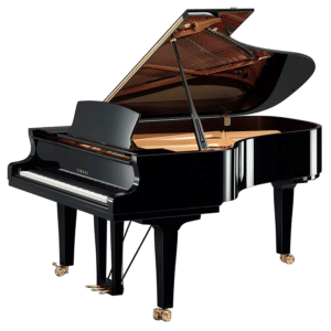 Yamaha DS6 X EN PRO