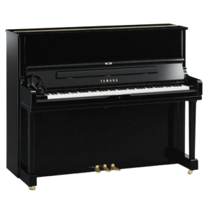 Yamaha DYUS1 EN-1