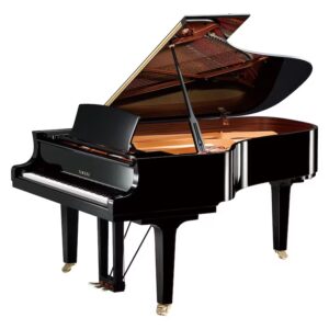 Yamaha – C6X