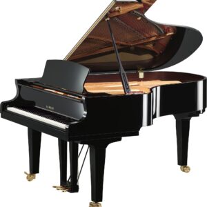 Yamaha – S5x