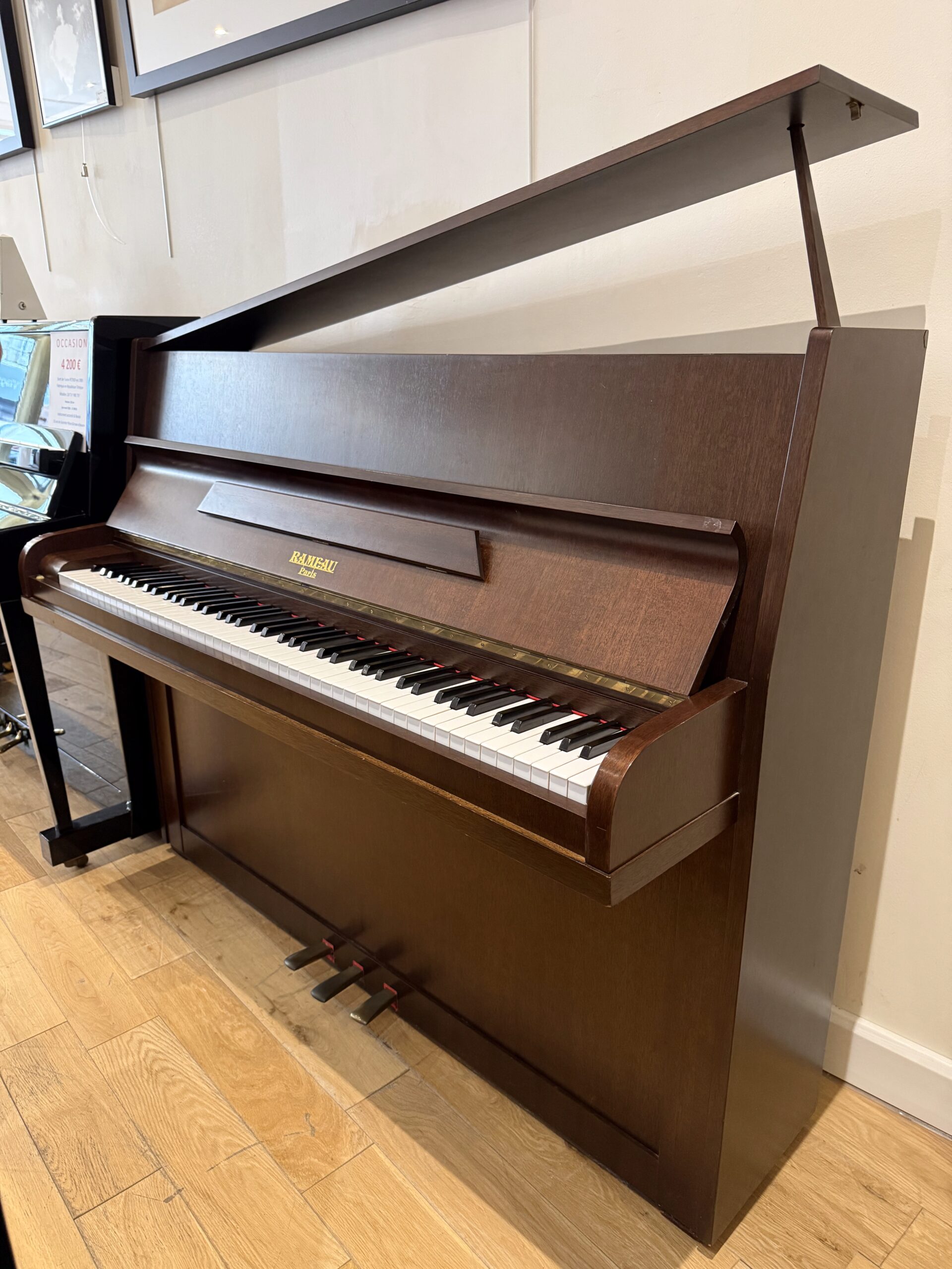 Rameau -Chenonceau moderne