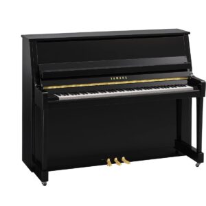 Yamaha - b20