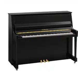 Yamaha - b20