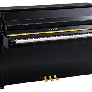 Yamaha - b10