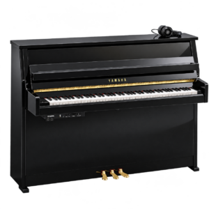 Yamaha - b10 SC3