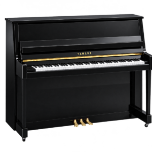 Yamaha - b20