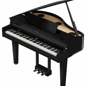 Roland - GP 6