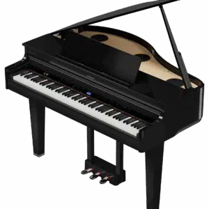 Roland - GP 6