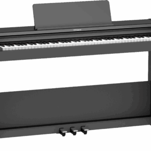 Roland - RP 107