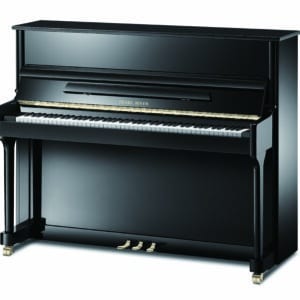 Pearl River EU 118 S