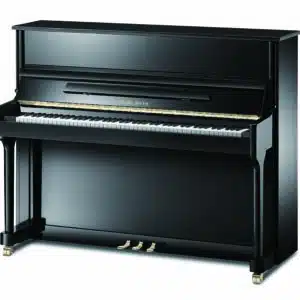 Pearl River EU 118 S