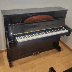 Schimmel - 120 e