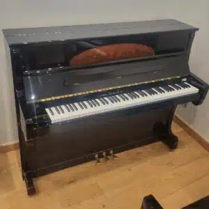 Schimmel - 120 e