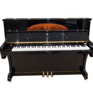 Schimmel - 120 e