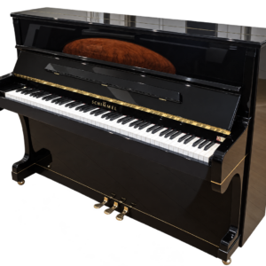 Schimmel - 120 e