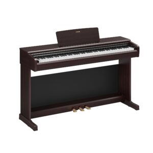 Yamaha - YDP 146