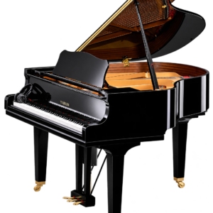 Yamaha - GCB Disklavier Enspire