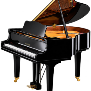 Yamaha - GCB